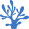 珊瑚应用 logo